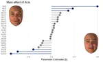 How observers decode pain from facial reactions. Distributed patterns of facial muscle contractions drive pain judgments in both naturalistic and synthetic expressions